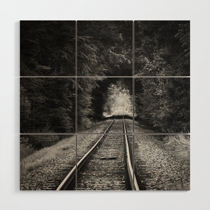 Don't go riding on the long black train; lonely railroad tracks through natural tunnel of leafy trees black and white photograph - photography - photographs Wood Wall Art
