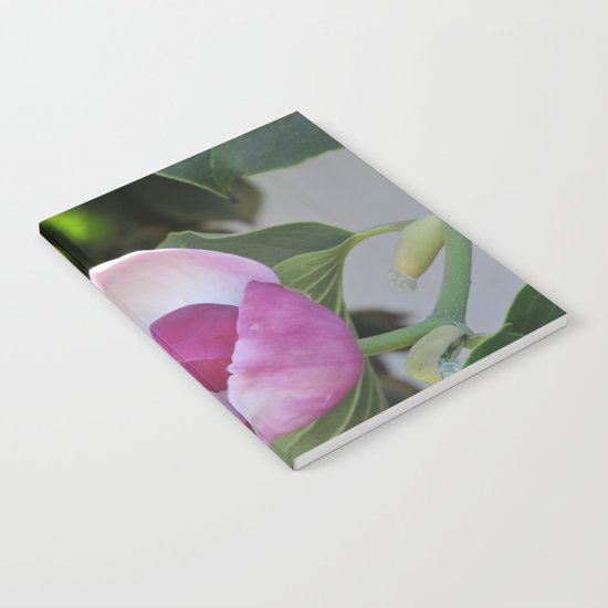 A Fig Prefigured Notebook
