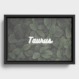 Taurus Framed Canvas