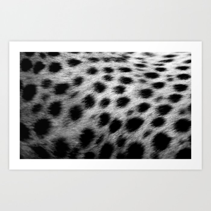 Cheetah Spots Art Print