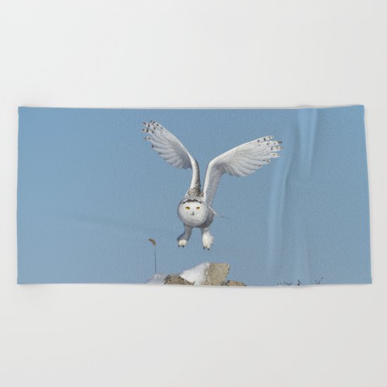 Her wings are my prayer Beach Towel