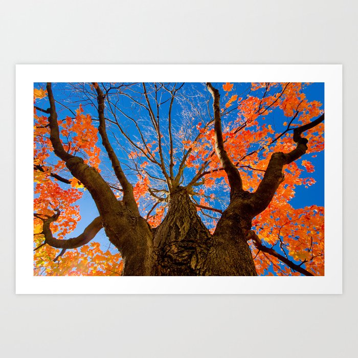 Autumn Blue Art Print