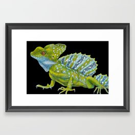 Basilask Framed Art Print | Drawing, Basilisk, Jesuschristlizard, Colored Pencil, Reptile, Lizard 
