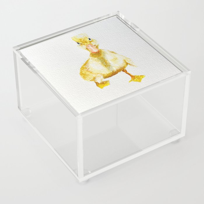 Vanilla the Duckling Watercolor  Acrylic Box