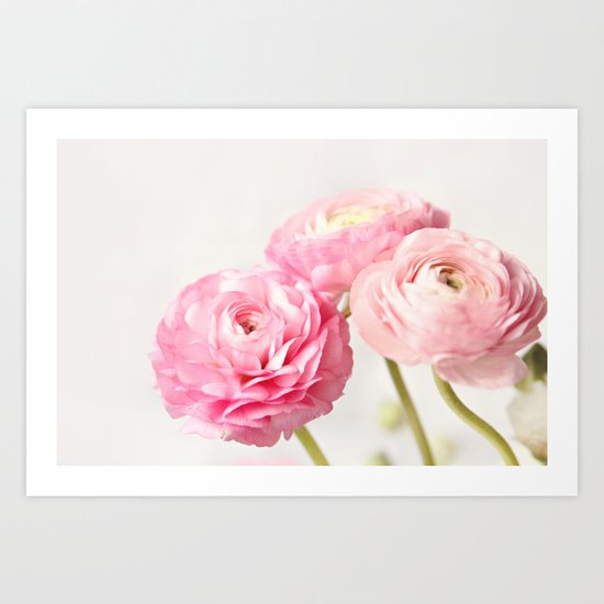 Ranunculus trio Art Print