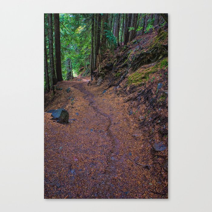 A Mount Rainer Trail Canvas Print