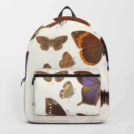 Vintage Scientific Insect Butterfly Moth Biological Hand Drawn Species Art Illustration Backpack | Scientific, Biological, Speciesart, Colored Pencil, Ink Pen, Butterfly, Handdrawn, Illustration, Moth, Drawing 