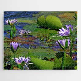 South Africa Photography - Lily Leaves And Flowers In The Water Jigsaw Puzzle
