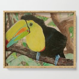 Toucan in the Tree Serving Tray