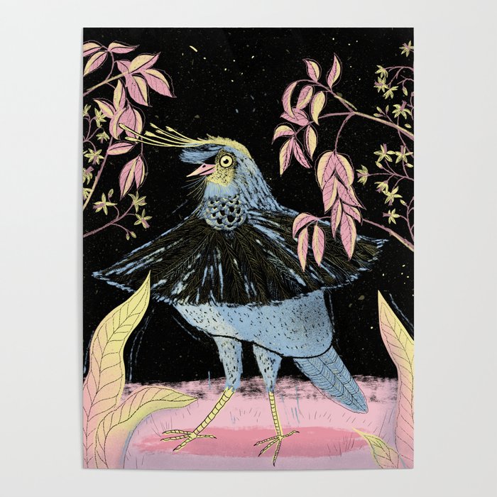 Dancing Bird (Parotia Sefilata) Poster