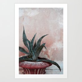 Pink Blue Cactus Art Print