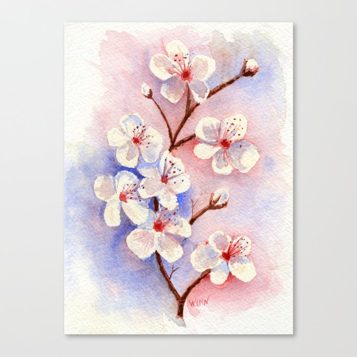 Cherry Blossoms Watercolor Canvas Print By Brettwinnart Society6