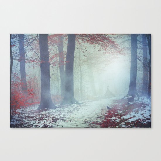 Snow Glow Canvas Print