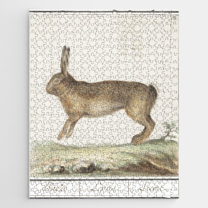 Hare, Lepus Europaeus Jigsaw Puzzle