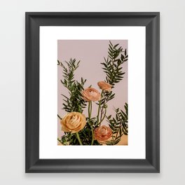 Ranunculus Framed Art Print