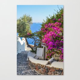 Santorini, Greece, Pink Flowers, Ocean View Canvas Print