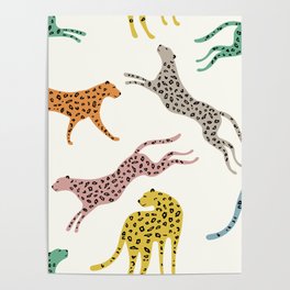 Rainbow leopards Poster