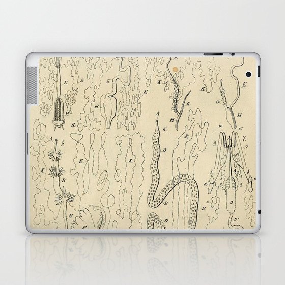 Microscopic Biology Laptop & iPad Skin