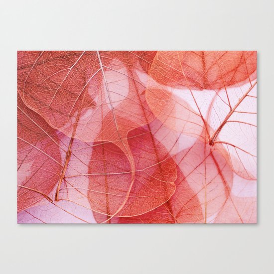 orange Canvas Print