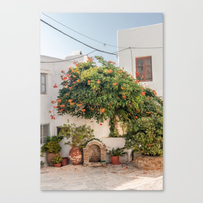 Greek Street Corner | Overgrown Trees and Pottery on the Streets of Naxos | Summer & Travel Photography Canvas Print