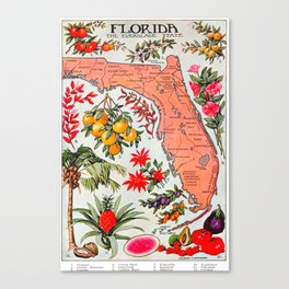 Florida The Everglades State Map Vintage Advertisement Canvas Print