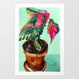 Polka Dot Princess Begonia Study no 2 Art Print