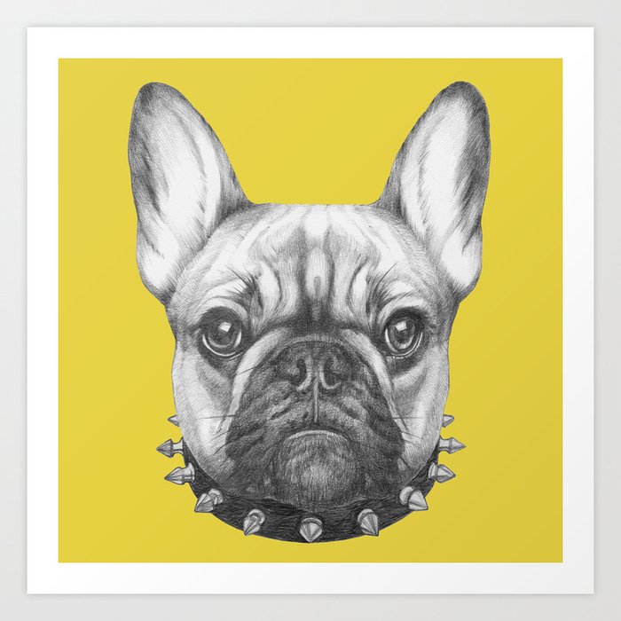 Hand drawn portrait of French Bulldog with collar. Art Print by ...