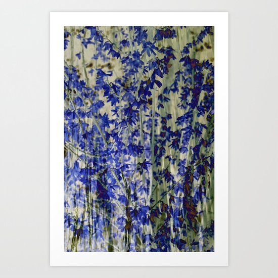 Blossom Art Print