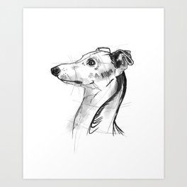 Italian Greyhound Sketch Art Print