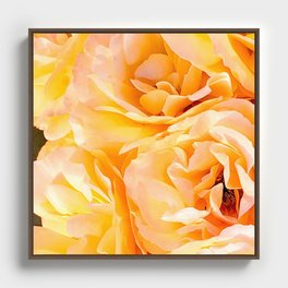 Orange Roses Framed Canvas