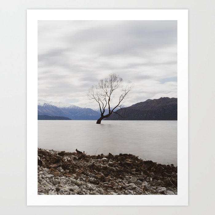 That Wanaka Tree in Winter // Otago NZ Photography Art Print Art Print