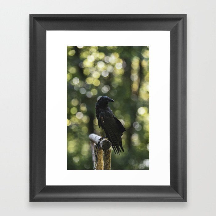 Creatures | Crow Framed Art Print