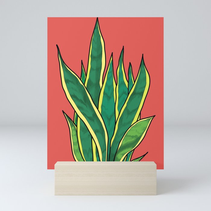 Snake plant #1 Mini Art Print