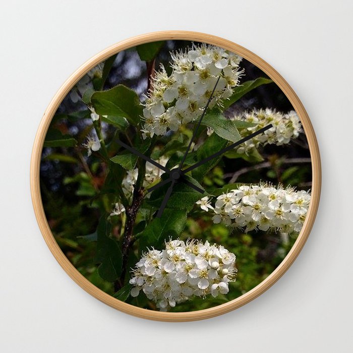 White Cluster Blossoms Wall Clock