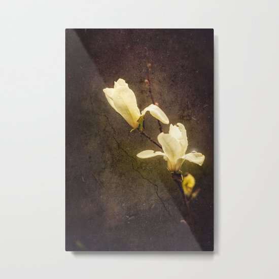 Dusty Metal Print