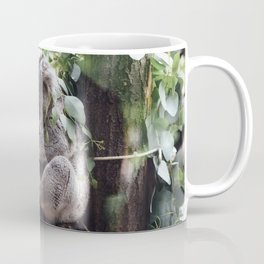 Koala Bear Asleep Coffee Mug