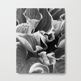 Leafing on the Midnight Train Metal Print | Abstract, Black and White, Nature, Photo 