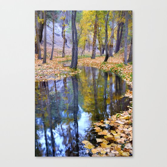 "Curves". Autumn forest Canvas Print