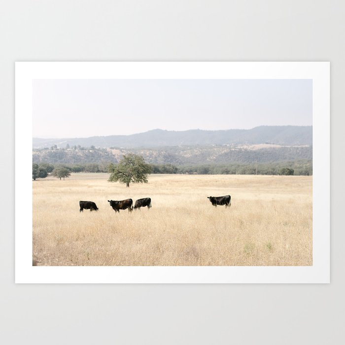 The Fields of Paso Robles - California Wine Country Art Print
