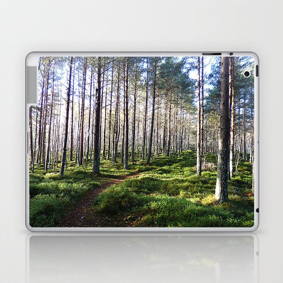Sunlight Through a Scottish Birch and Pine Forest in Afterglow Laptop & iPad Skin