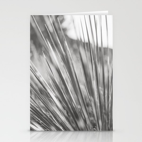 Desert Botanicals - Texas Photography Stationery Cards