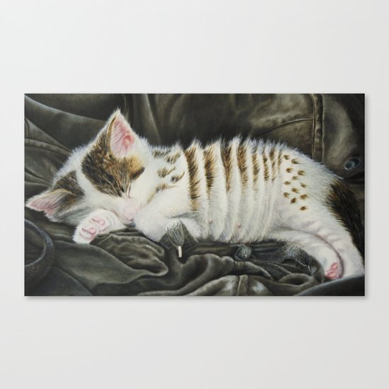 Sleeping Accordion Canvas Print