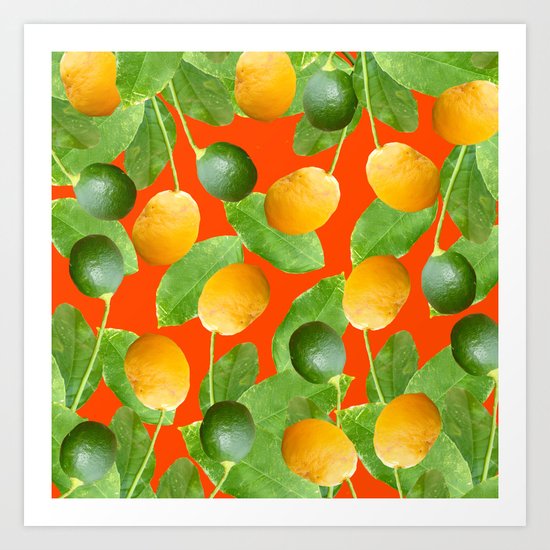 Lemons and Limes Art Print