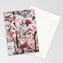 Cherry blossom flower pattern Stationery Card