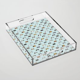 Cats crowd. That's all it is about Acrylic Tray | Pattern, Exoticcat, Whitecat, Animal, Kitten, Catoholic, Graphicdesign, Catlover, Cutecat, Pawsitive 