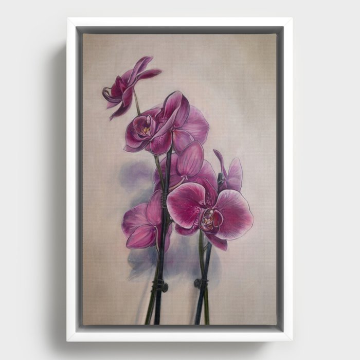 Fuschia Orchid Framed Canvas