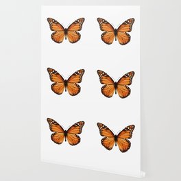 monarch butterfly Wallpaper