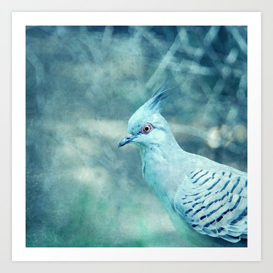 blue bird Art Print