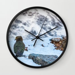 Kea parrot bird in the snow mountains of New Zealand Wall Clock
