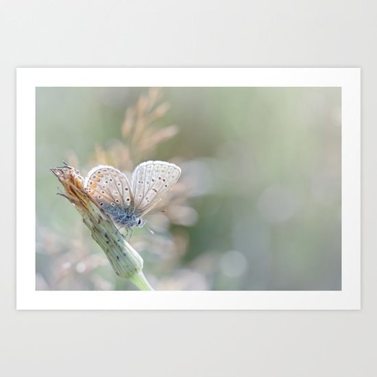 Sunbathing butterfly... (blue version) Art Print